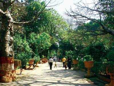 Museum of Trees: Little known facts of trees in Mumbai's Byculla Zoo