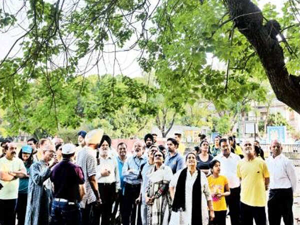 Chandigarh learns Sec 33 Park’s Novelty