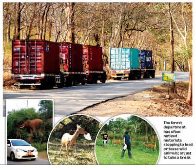 Wild at heart? Crossing the limit in Karnataka’s jungles will prove costly