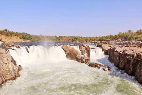 Submit report on keeping Narmada clean: NGT