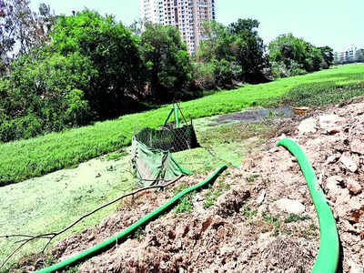 Off with weeds, Vengaiah Lake clean-up has begun