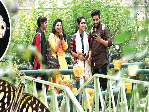 Titli park sends hearts aflutter