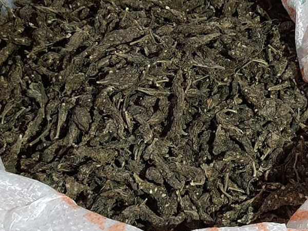 IIC, ASI suspended for links with ganja mafia
