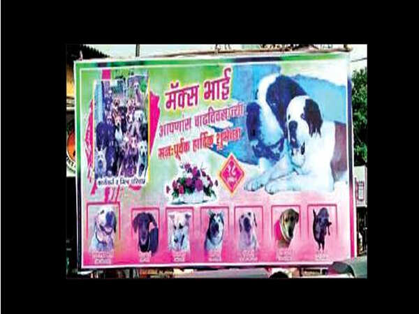 Mother tongue blues for Konkani