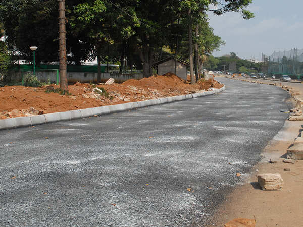 Green drive aims to make 7 Noida roads dust-free