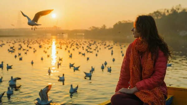 North India’s winter guestlist: The epic journey of the migratory birds