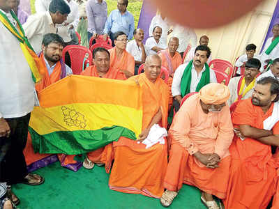 Seer-ing protest takes North Karnataka by storm