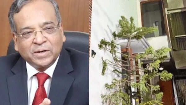 Retired IAS officer Dhanendra Kumar dies after AC blast triggers fire at south Delhi home