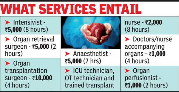 Professionals to beef up organ transplants