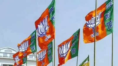 Karnataka Election: Third BJP Candidates List Of 10 Members Relased For ...