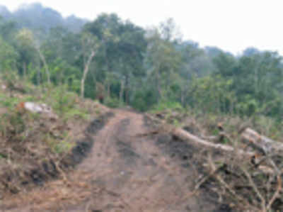 Post-SC verdict on forests, state rethinks Kodagu plan