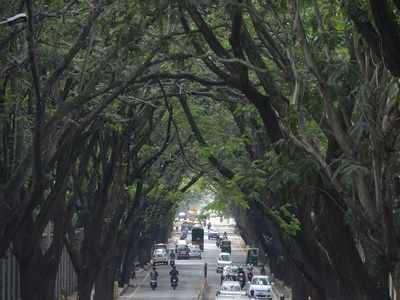 #BengaluruSpeaks: Residents react to BBMP's plan to install 6 air purifiers