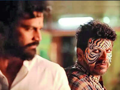 Bairagee movie review: For classes and masses