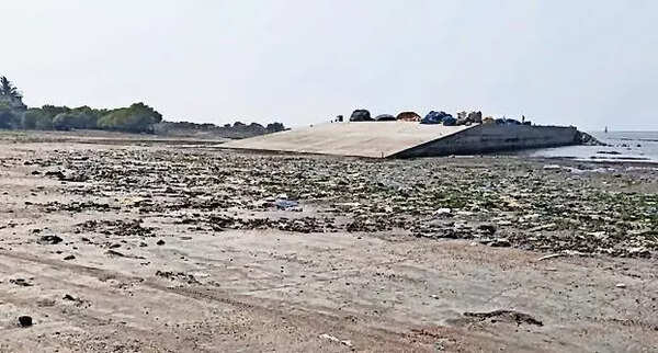 Jetty construction eroding Mumbai’s Gorai beach sand: Greens