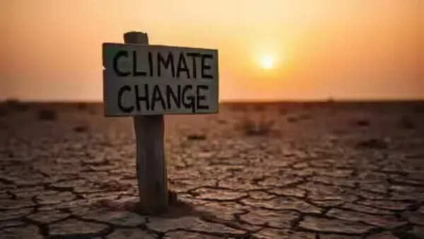 New Zealand moves to halt lawsuits over climate damage