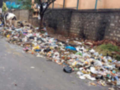 While namma city stinks, Delhi taps Bengaluru’s talent for a garbage app
