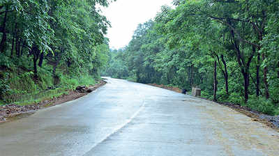 Karnataka: Shiradi Ghat finally open to heavy vehicles