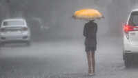 Moderate rainfall expected in Tamil Nadu in next 48 hours: IMD 