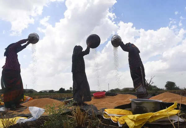 Nashik ZP plans employment and rehabilitation drive for single women