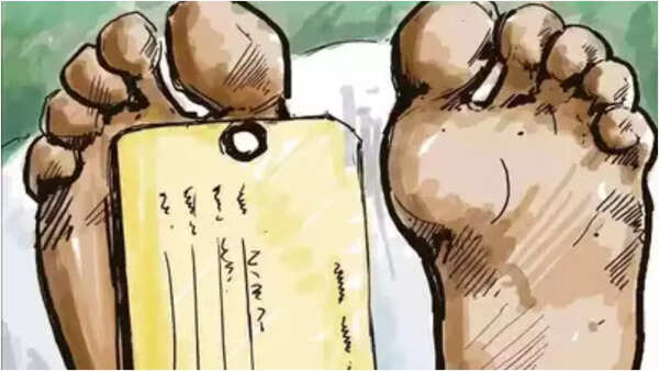 Woman, kid crushed under car of Madhepura DM in Bihar