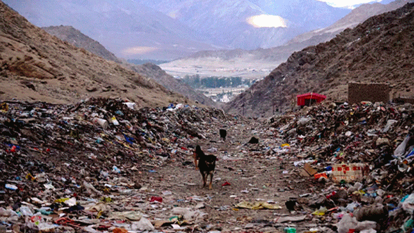 How Indian tourists are wrecking the places they visit
