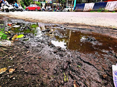 Tech corridor Mahadevapura has most cases of dengue