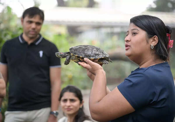 Animal petting, open spaces boost Punekars’ mental wellness