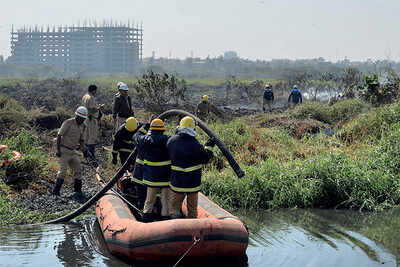 NGT fumes over Bellandur fumes