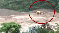 On cam: Houses, roads damaged due to heavy rainfall in Chamba 
