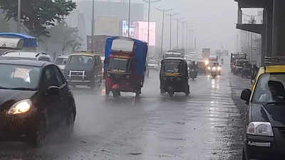 Maharashtra Rain News Live Updates: Heavy rain lashes Mumbai, Schools and colleges shut in palghar on Saturday