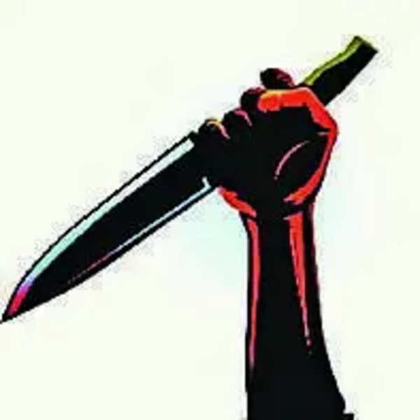 Youth stabbed to death in Bhalswa Dairy