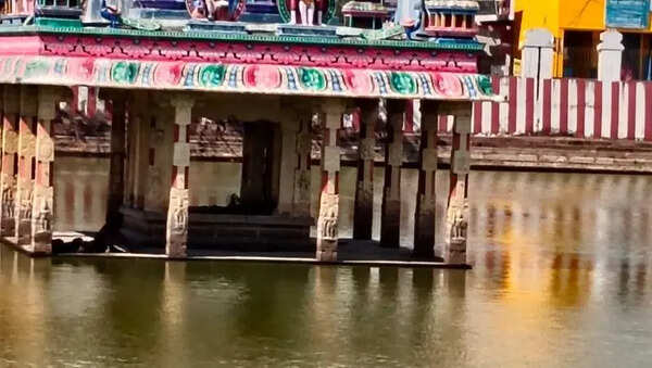 Drunk stranded in temple tank rescued