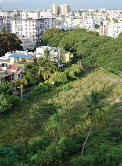 Another land scam in making: Dead man gets plot converted