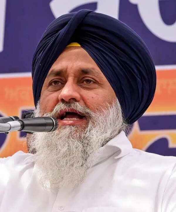 Badal promises to make Punjab power surplus again