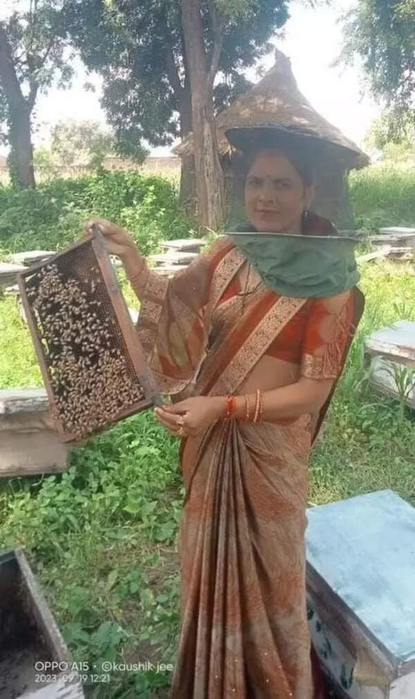 Agra woman turns entrepreneur, builds Rs 25L beekeeping venture