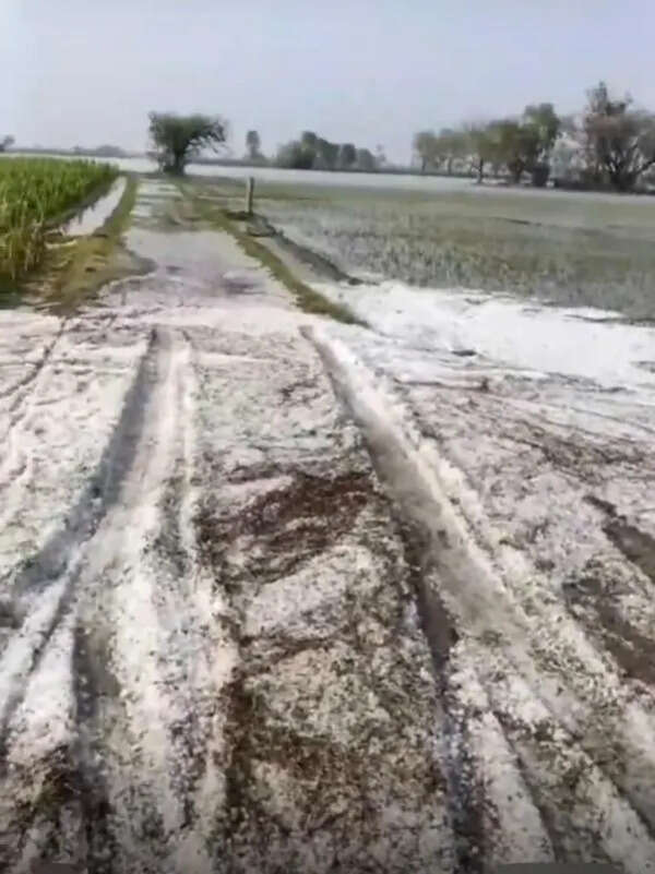 Storms batter Punjab, Haryana, HP; widespread damage reported