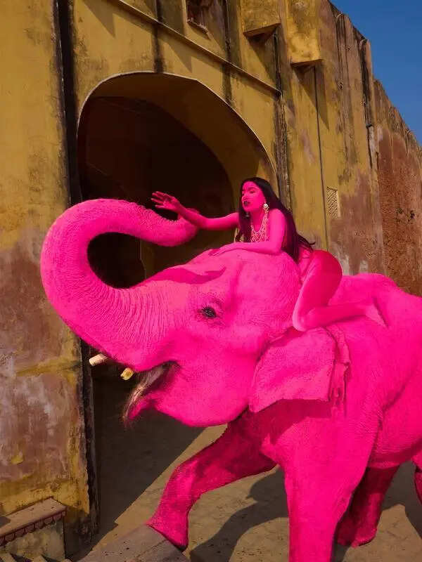 Handlers, lensman defend ‘pink’ shoot