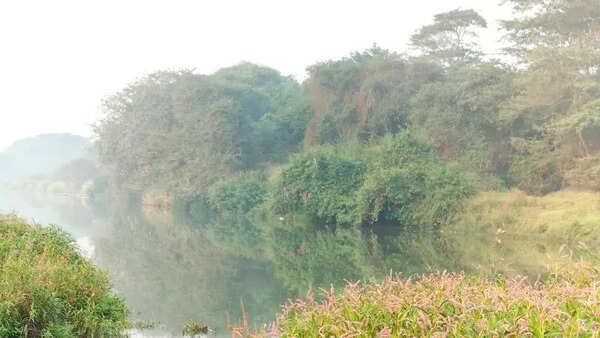 Pune district’s wildlife warden seeks halt on riverfront development project at Mula
