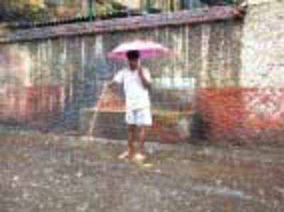 Rains bring back dengue worry