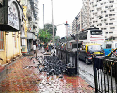 Biker dies after being hit by pigeon