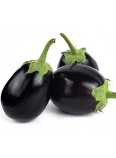 Bt Brinjal: HC says Monsanto will have to face bio-piracy case