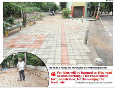City makes way for elders: A paved path for pedestrians only
