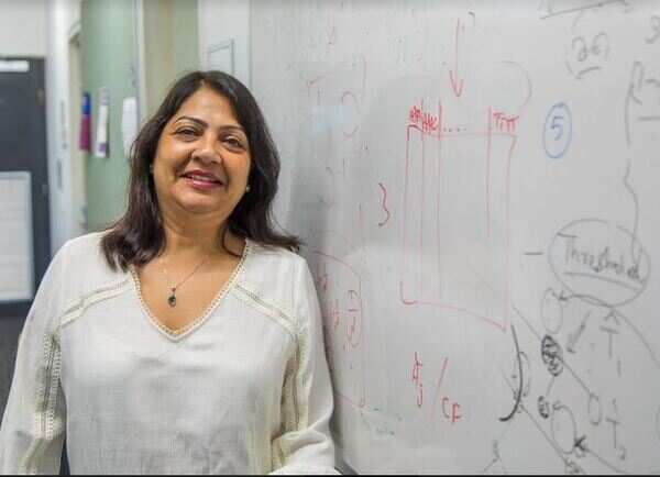 Desi prof in Oz gets algorithm to 'man' misogyny online