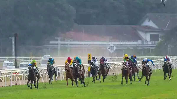 Horse Racing: Prokofiev fancied for PBMM