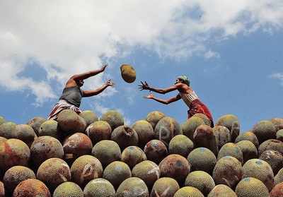 Will jackfruit be India’s jackpot?