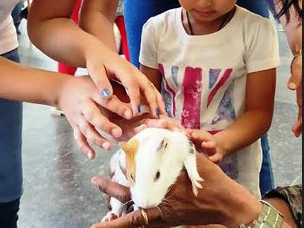 Greenwood High-Bannerghatta inspires children to be nature friendly, binds them up with animals