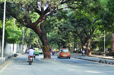 Greenocide to start in February in Bengaluru