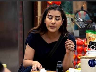 Bigg Boss 11 Live Updates, Today's Full Episode, Day 99, 8 January 2018: Shilpa Shinde thanks Puneesh Sharma for his support, calls Vikas Gupta a liar; HIna Khan applauds her ingenuity