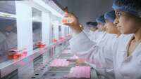 Covid-19: Bharat Biotech asked to submit complete phase 2 data of its vaccine before phase 3 trial 