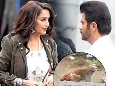 Anil Kapoor and Madhuri Dixit have an unexpected guest on Total Dhamaal set